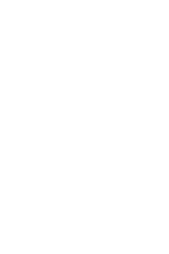 PONTS Network